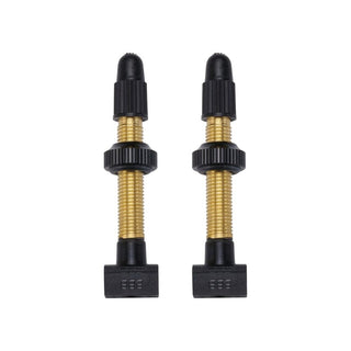 BBB Cycling BTI-159.60 Tubeless Valves Removable CO 2 Pieces 60MM