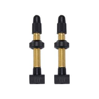 BBB Cycling BTI-159 Tubeless Valves Removable CO 2 Pieces 80MM
