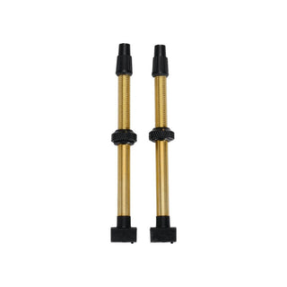 BBB Cycling BTI-159.60 Tubeless Valves Removable CO 2 Pieces 60MM