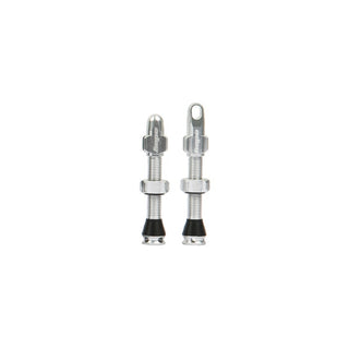 Hope Tubeless Valve Pair - 40MM Silver