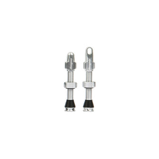 Hope Tubeless Valve Pair - 60MM Silver