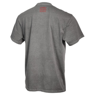 DT Swiss 3 Decade Unisex T-Shirt - Grey