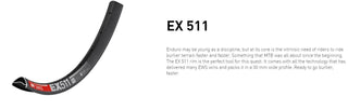 DT Swiss Rim EX511 29 28H 30 Wide