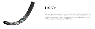 DT Swiss Rim HX531 29 30 Wide 36H