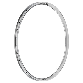 DT Swiss Rim FR541 29 (30 Wide) 32H - Silver