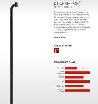 DT Swiss Champion 2.0 J Bend Per Spoke 304 - Silver