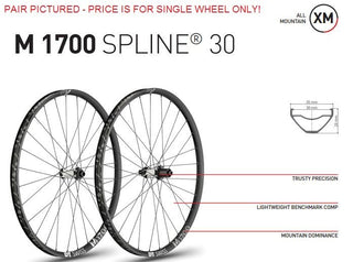 DT Swiss M1700 Spline 29 12148 30wd Centre Lock/6B Rear Wheel