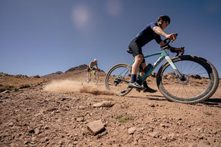 Felt Breed Advanced GRX820 Gravel Bike 51CM - Scrub