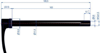 DT Swiss RWS 12 142 163mm Long 12x1.5 Plugin