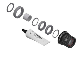 DT Swiss Upgrade Kit 3-Pawl to Ratchet LN Micro Spline Alloy