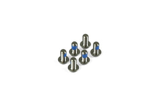 Hope M5 x 10 Torx Head Screw - Titanium Steel 6 Off