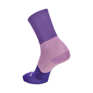 Santini Big Bengal High Profile Socks - Violet
