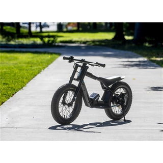 STACYC 16Hdrive E-Balance Bike 18V